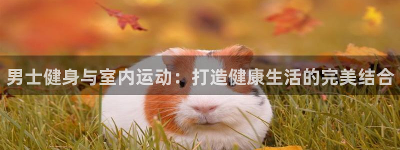 yy易游体育官网下载平台注册要钱吗是真的吗:男士健身与室内运