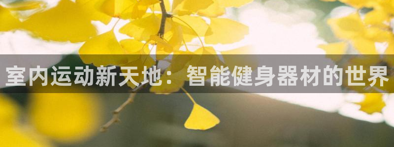 yy易游体育官网下载平台注册要钱吗安全吗:室内运动新天地:智