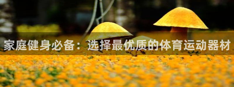 yy易游体育官网下载平台APP:家庭健身必备:选择最优质的体
